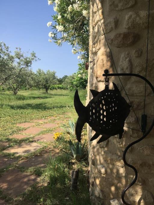 Gite Des Amis Domaine De Mas Caron Caromb Экстерьер фото