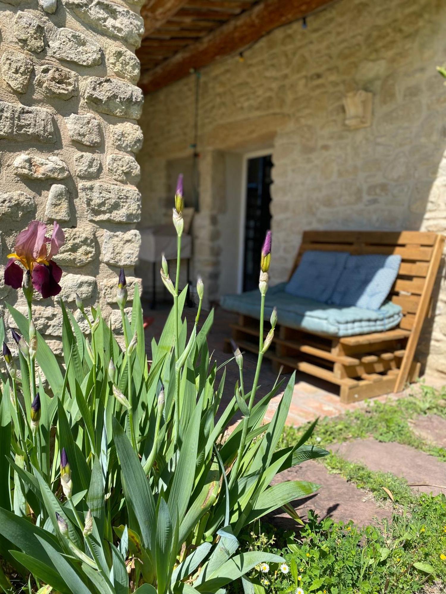 Gite Des Amis Domaine De Mas Caron Caromb Экстерьер фото